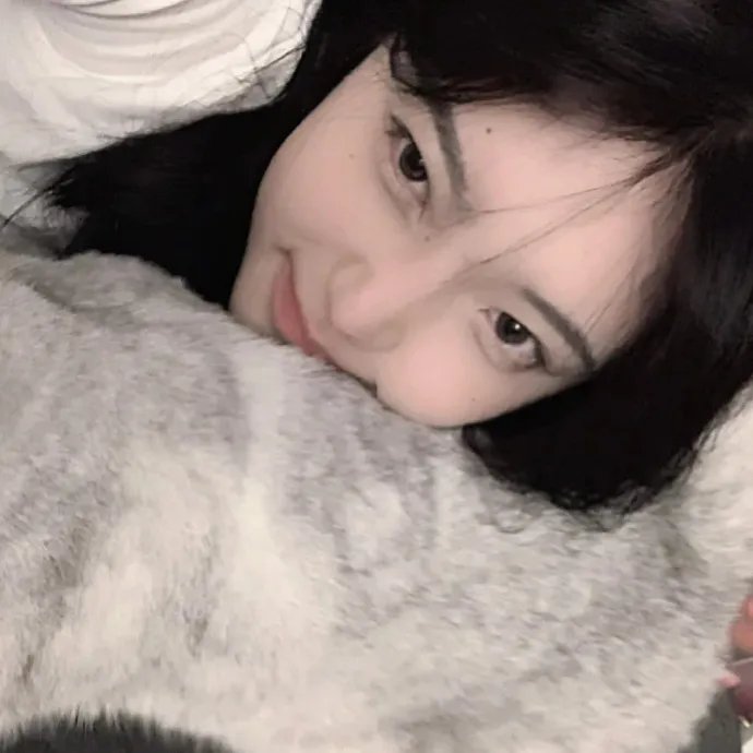 沙漠生存者：阿拉伯狼